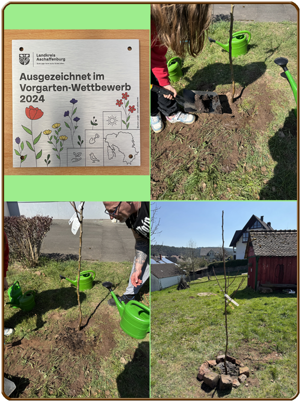 Grundschule Heimbuchenthal